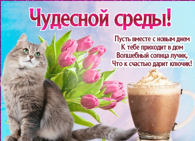 Открытки